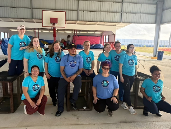 Marshall Islands Veterinary Mission
